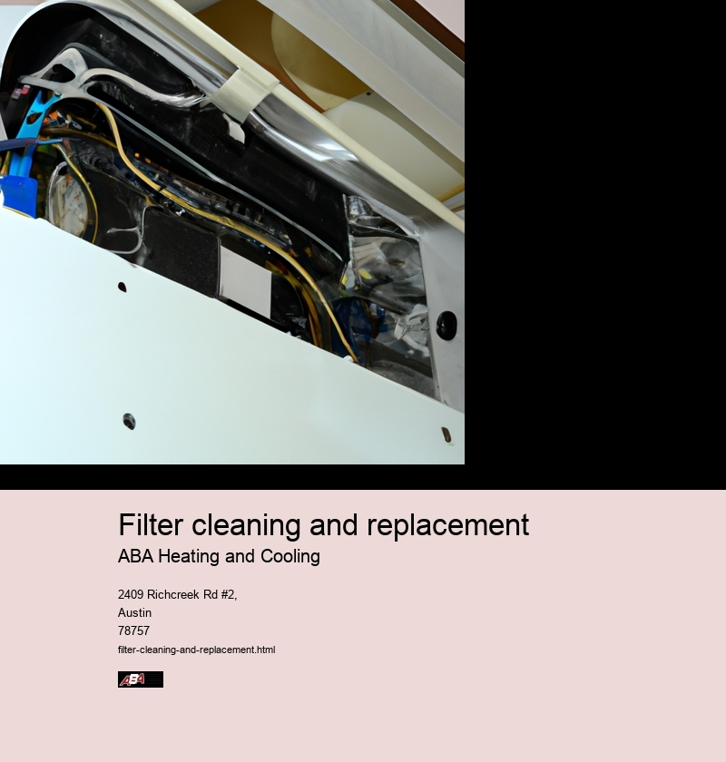 Filter cleaning and replacement